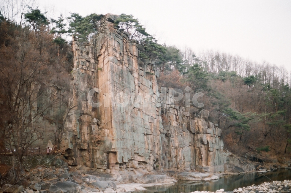 단양,사인암,소나무,강가,바위,자연,풍경,nature,landscape,한국자연풍경,한국자연경관,korea nature landscape,outdoors,옥외,cliff,낭떠러지