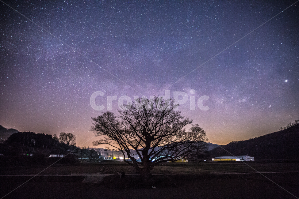 은하수,별궤적,왕따나무,밤,별,별,야경,밤,풍경,nightscape,night,landscape,nature,자연,outdoors,옥외
