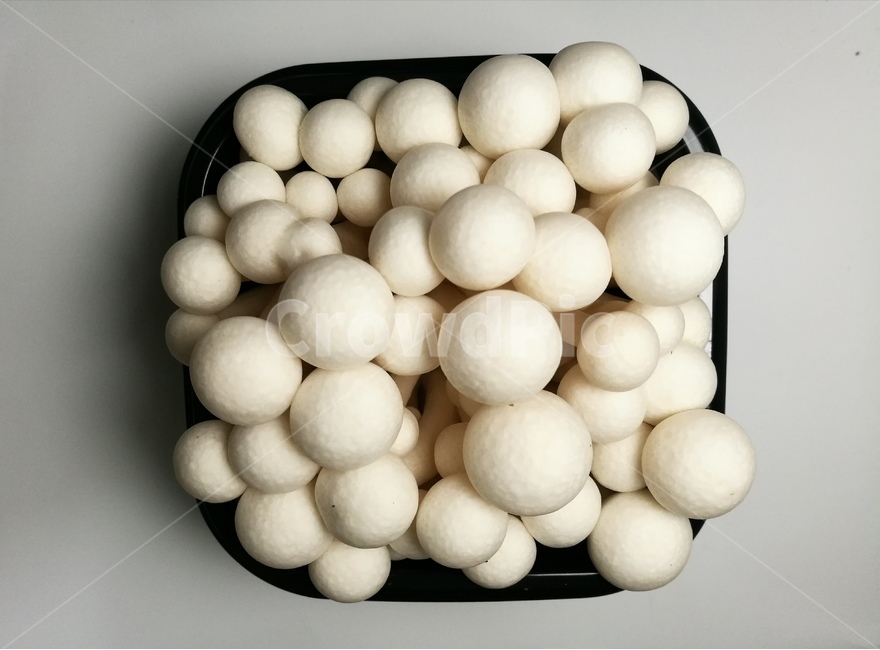 버섯,건강,유기농,요리,식재료,농업,버섯,mushroom