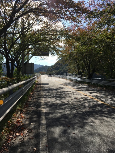 죽산교,다리,교각,주암호,호수,가을풍경,가을,풍경,화순군,보성군,자연,풍경,nature,landscape,asphalt,아스팔트