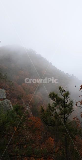 outdoors,nature,자연,날씨,weather,산,안개,단풍,mountain