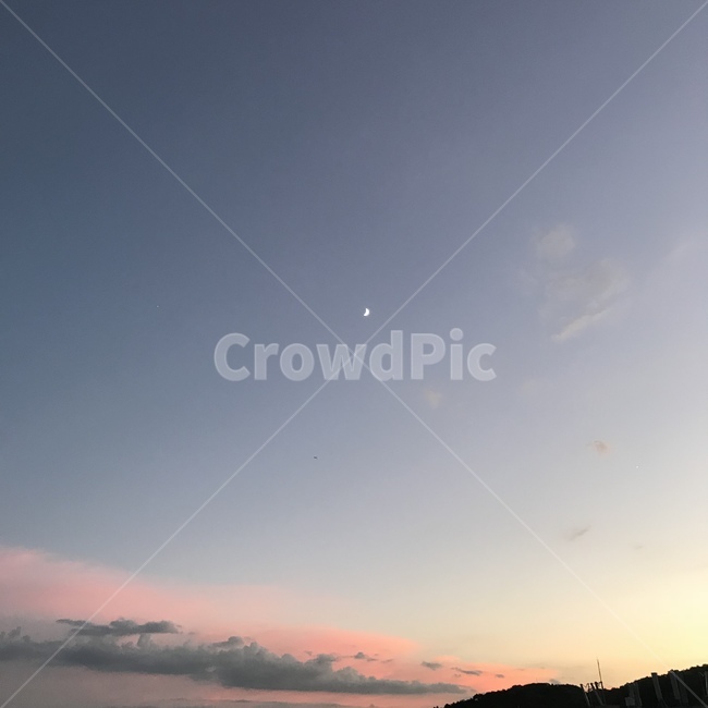 옥외,outdoors,자연,nature,옥상
