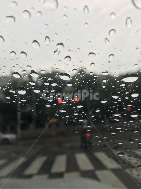 자동차,빗물,물방울,비오는날,거리,횡단보도