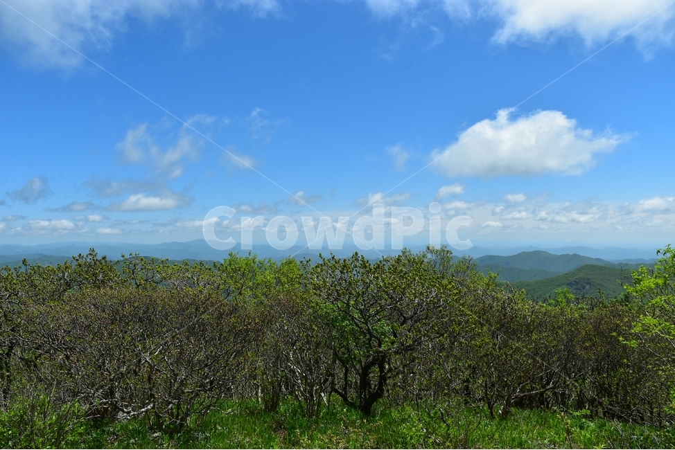 태백산,풍경,자연,국립공원,명산,신비로운,경이로운,아름다운,다큐,필,힐링,landscape,season,nature,비경,경치,하늘,구름,봄,자연,풍경,nature,landscape,한국자연풍경,한국자연경관,korea nature landscape,outdoors,옥외,grassland,목초지,field,들,weather,날씨