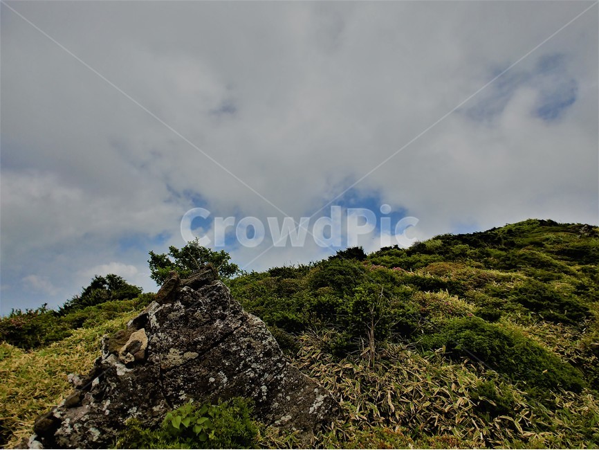 한라산,제주도,풍경,등산,자연,경치,경관,korea,hiking,자연,풍경,nature,landscape,한국자연풍경,한국자연경관,korea nature landscape,제주도,jeju,jeju island,outdoors,옥외