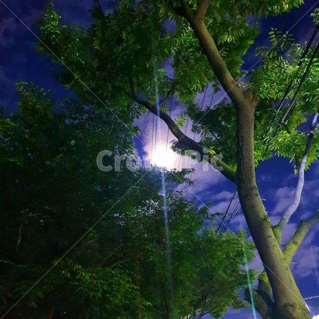 달,하늘,밤하늘,밤,어스름,풍경
