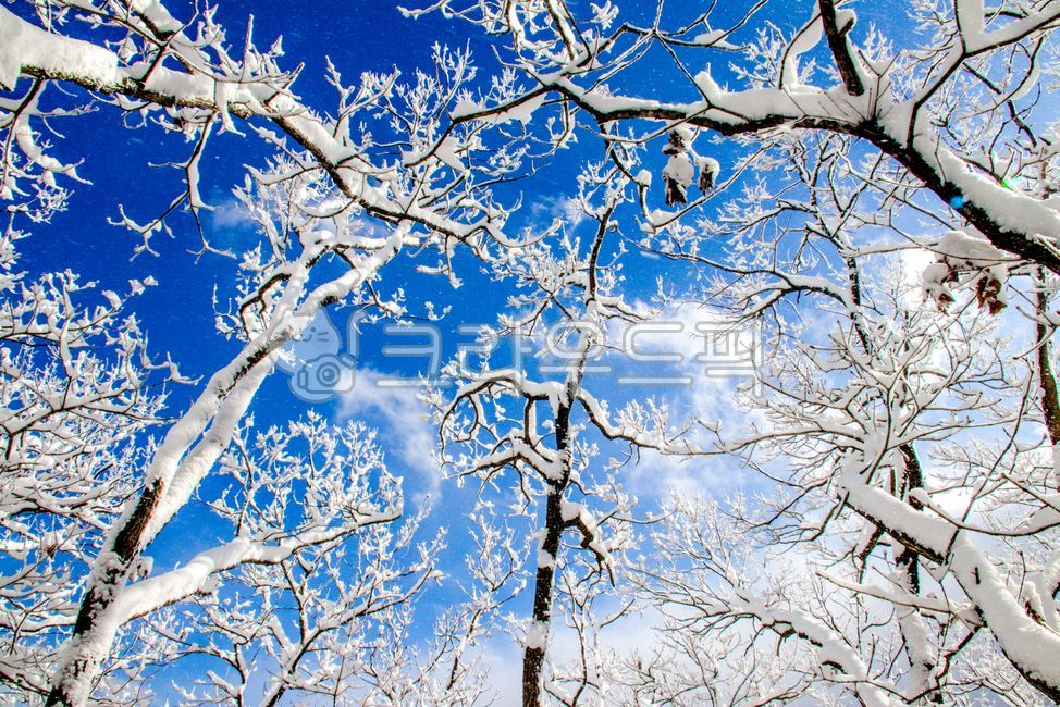 겨울,winter,snow,눈,계절,자연,nature,옥외,outdoors,설산,snowymountain