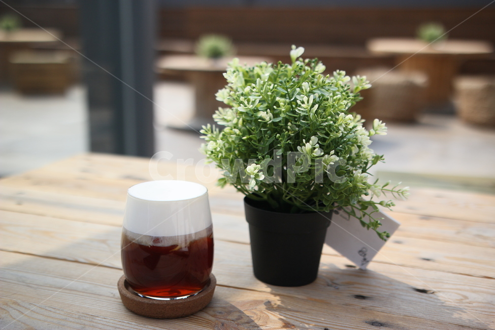 커피,화분,테이블,꽃,카페,vase,병장식,pottedplant,pottery,도기류,plant,식물,실내용화초,화분,화초,house plant,커피,카페,coffee,cafe