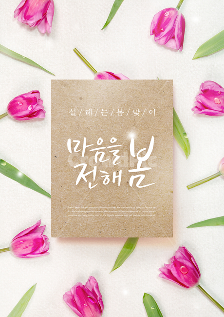 튤립,꽃,캘리,캘리그라피,손글씨,붓글씨,봄,프레임,쇼핑,배너,봄,계절,spring,season,식물,자연,plants,nature,꽃,flower,그래픽,일러스트레이션,graphic,illustration,캘리그라피,손글씨,calligraphy
