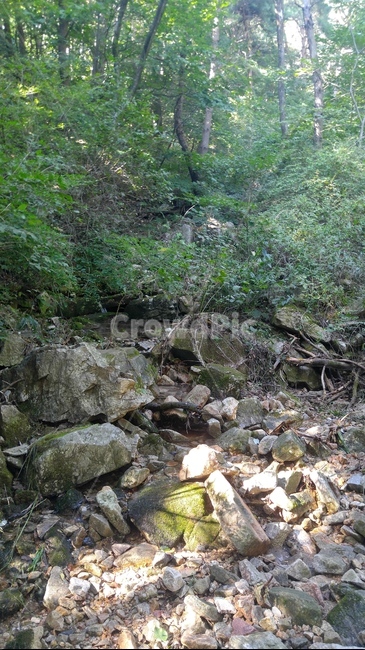 숲,계곡,돌,나무,자연,자연,풍경,nature,landscape,rubble,파편,water,물,outdoors,옥외