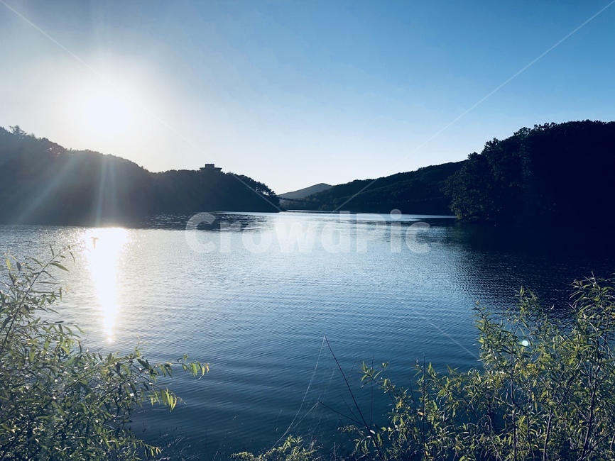 물,nature,자연,빛,water