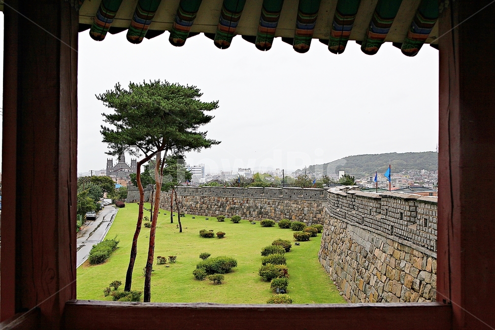 수원화성,성,성곽,길,둘레길,자연,풍경,담,돌담,가을,벽,방어벽,전통,흙담,식물,한국전통,한국문화,korean traditional,korean culture
