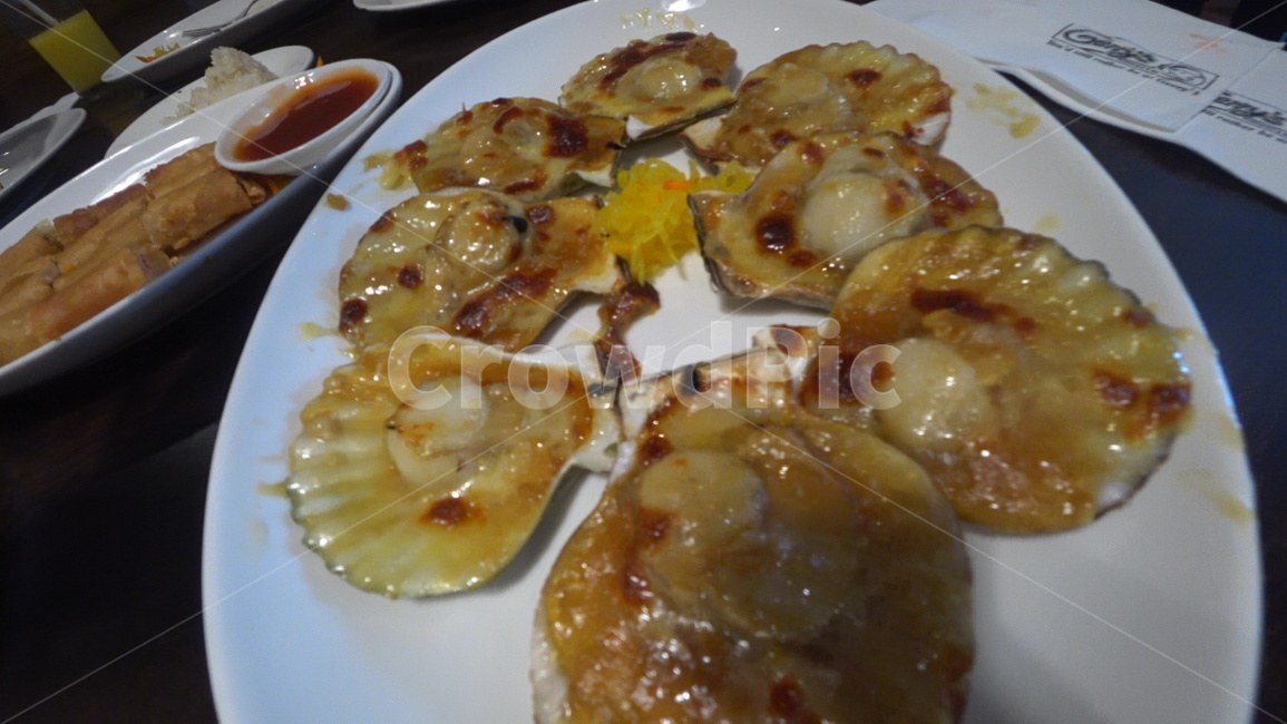 food,음식,meal,조개,clam,음식,식재료,요리,food,cook,meal,dishes,food reserves