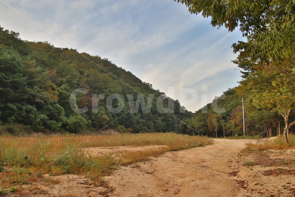 가을,가을길,산길,시골길,고향,자연,풍경,nature,landscape,ground,바닥,road,도로,gravel,자갈,dirt road,흙길