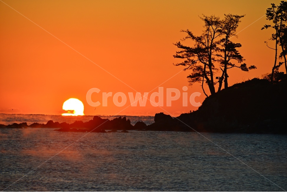 nature,자연,outdoors,옥외,sky,하늘,dawn,새벽,redsky,붉은하늘,sunlight,햇빛,울산,울주,명선도,강양항,명선도아침,일출,해돋이,여명,소나무,경치,경관,풍경,물안개,자연,풍경,nature,landscape