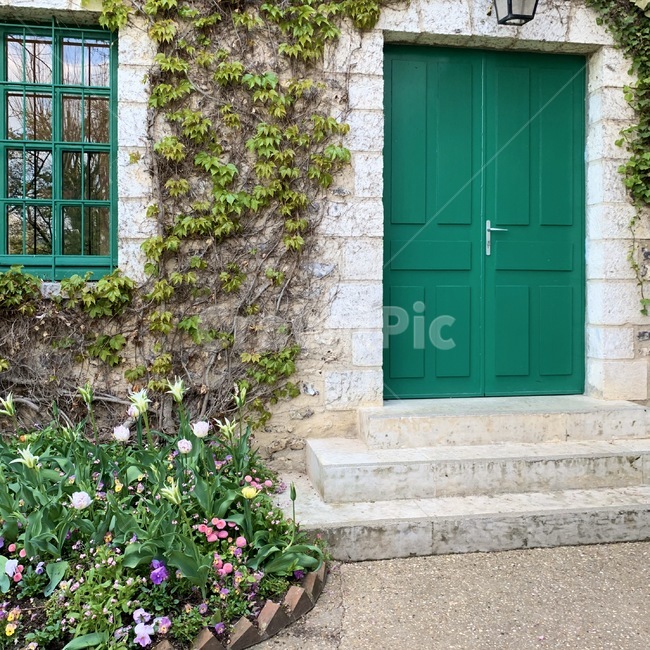 plant,식물,door,문,green,garden,정원