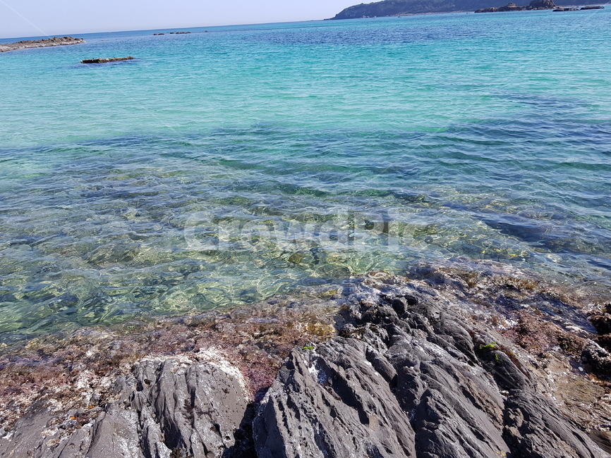 바다,해변,동해,바다색,일본,대마도