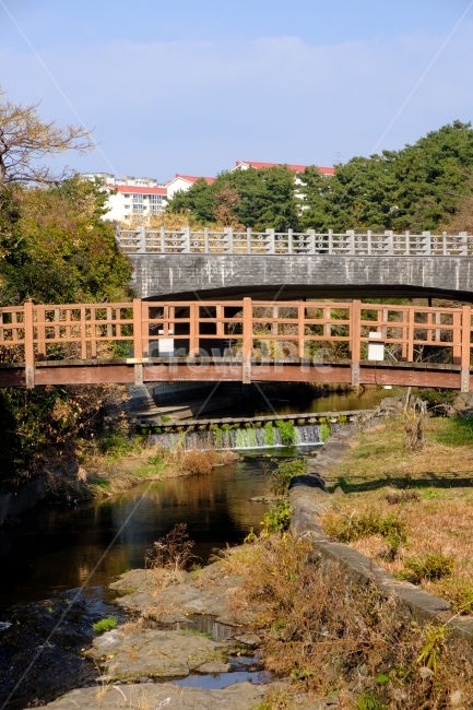 다리,자연,풍경,맑음,풀,구조물,건축물,하천,강,계곡,공원,도시,풍경,city,landscape,한국도시풍경,한국도시경관,korea cityscape