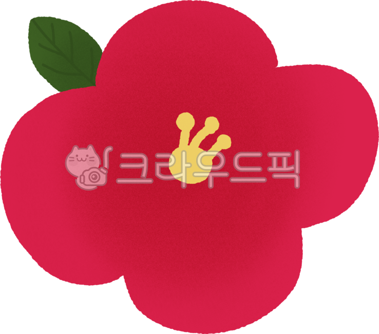 jeju,제주,제주도,제주특별자치도,제주도일러스트,동백꽃,flower,동백,꽃잎