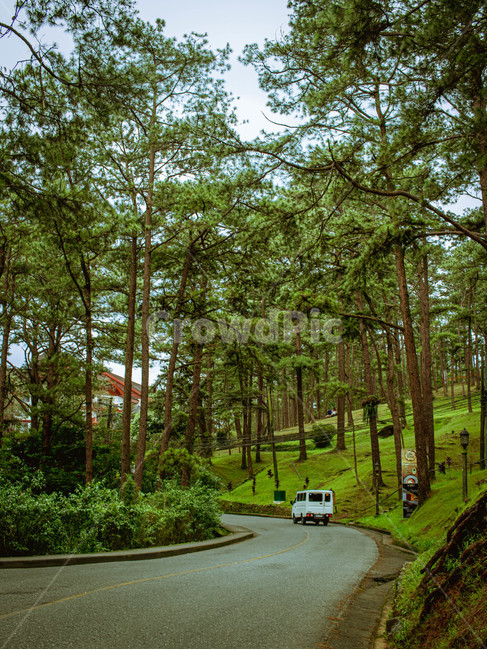 road,도로,phillppines,sky,tree,park,car,자연,풍경,nature,landscape