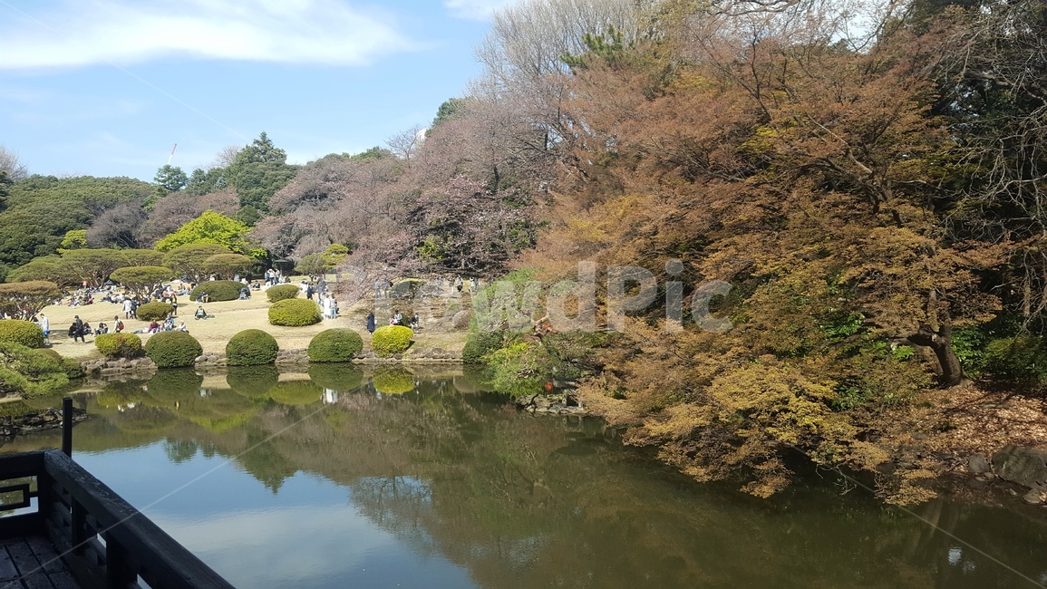 water,물,nature,outdoors,옥외,자연,자연,풍경,nature,landscape