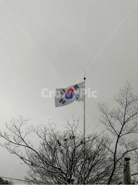 태극기,국기,깃발,flag,太極旗