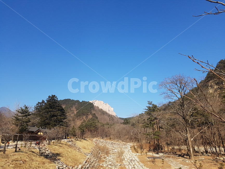 설악산,산,하늘,나무,들