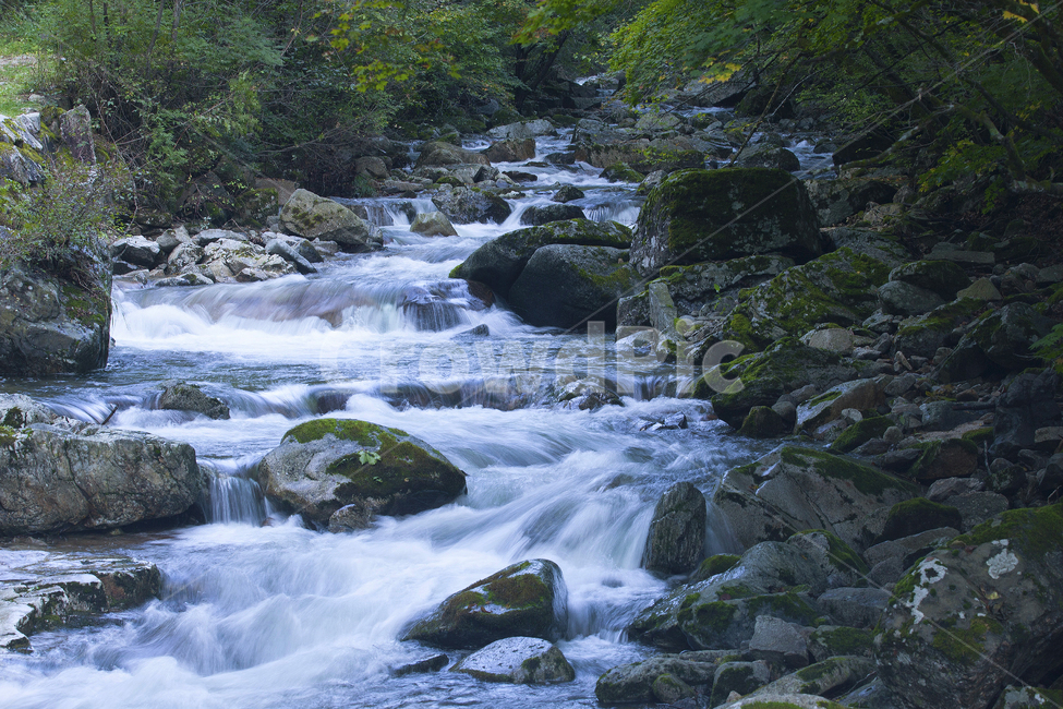 water,자연,outdoors,흐름,방태산,자연,풍경,nature,landscape,물,옥외,stream,creek,작은 만