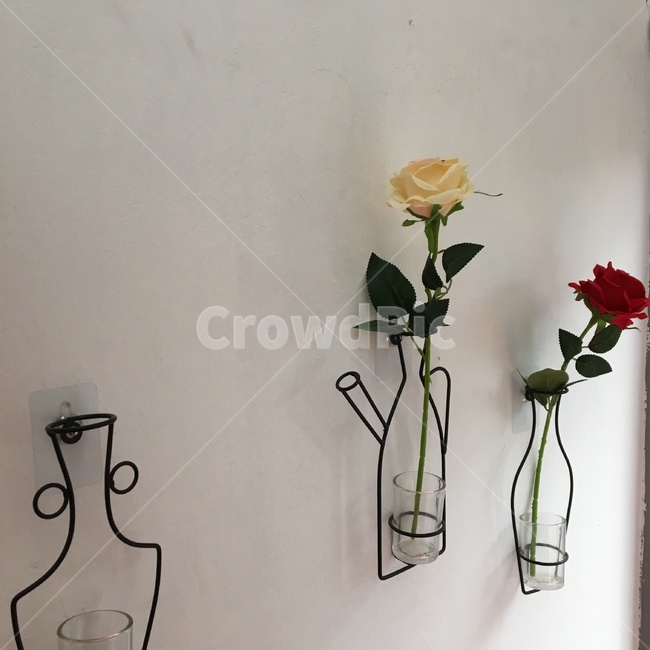 소품,꽃,인테리어,화분,감성사진