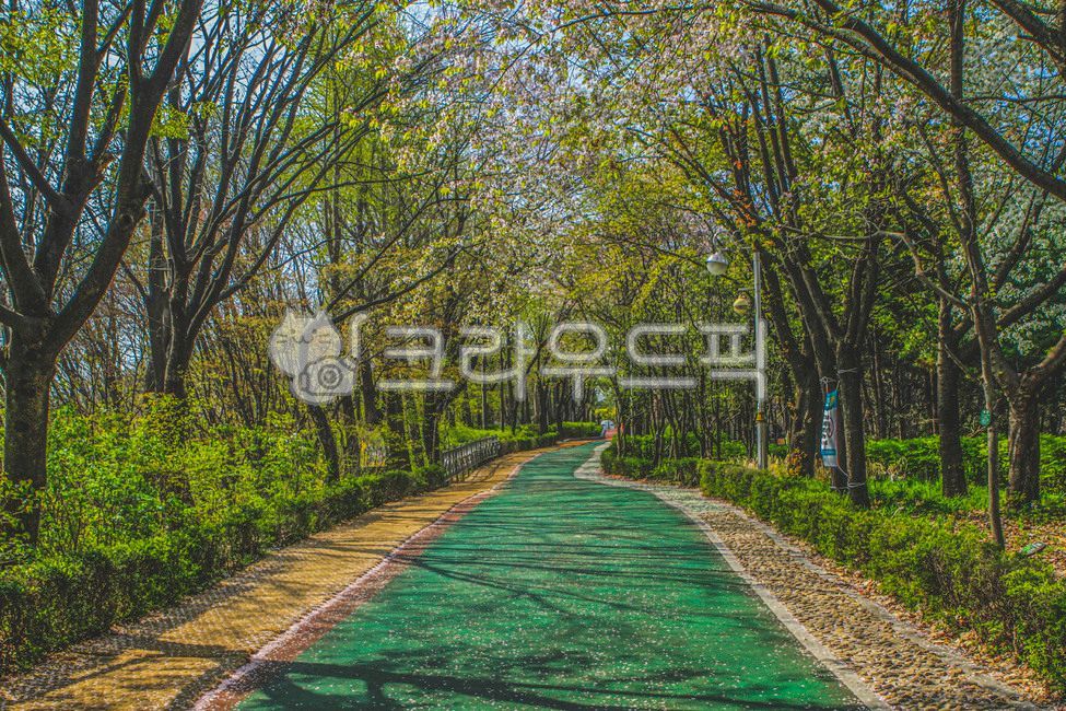 nature,tree,flower,seoul,trail,mountain,Gaeunsan Park,outdoors,road,Gaeunsan Mountain,railing,plant,road name,Handrail,park,walk