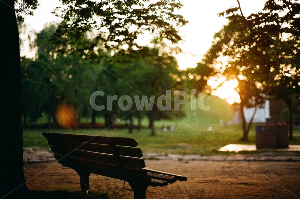 공원,해질녘,벤치,park,bench,sunset,해질무렵,공원벤치,나무,tree,furniture,자연,풍경,nature,landscape