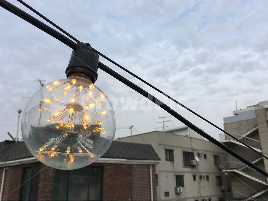 전구,데코레이션,감성,빛,조명,볼전구,장식,야외,전선,전깃줄,사물,물건,오브젝트,thing,object,matter