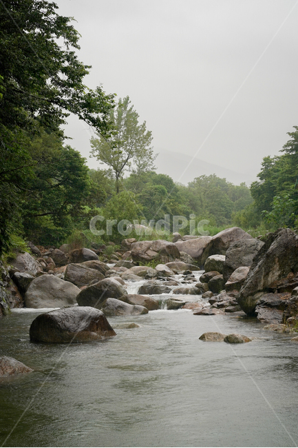 valley,계곡,맑은물,시원함,산속,여름,계절,summer,season,자연,풍경,nature,landscape,water,물,outdoors,옥외