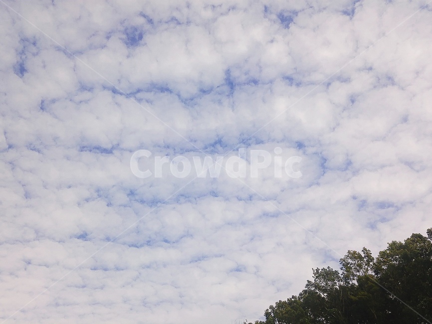 양떼구름,구름,하늘,몽실몽실,뭉게구름,파란하늘,cloud,sky,acumulocirrus,blue,white,자연,풍경,nature,landscape,outdoors,옥외