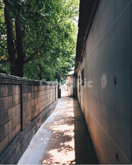 골목,여름,나무,시골,walkway,통로,path