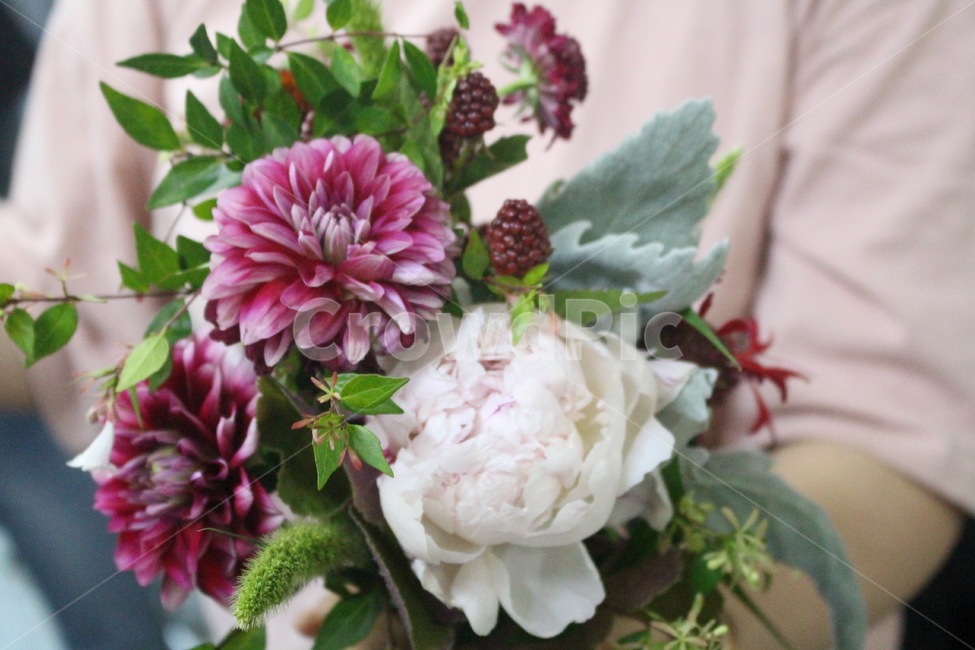 plant,식물,flower,dahlia,달리아,blossom,꽃,플라워클래스,class,꽃다발,handtied,작약,백묘국,다알리아,수업,꽃,flower