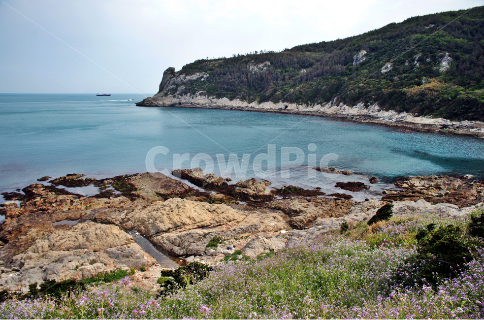 추자도,하추자도,제주,올레181코스,올레코스,바다,해변,야생화,섬,자연,풍경,nature,landscape,제주도,jeju,jeju island,promontory,곶,outdoors,옥외