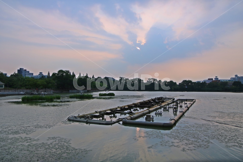 전주,덕진공원,전주덕진공원,jeonju,deokjinpark,도시,풍경,city,landscape,한국도시풍경,한국도시경관,korea cityscape,water,물,waterfront,워터 프론트