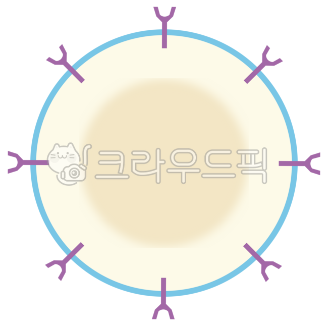 인체,신체,세포,인슐린,인슐린수용체,에너지,포도당,혈당,혈액,당뇨,바이러스