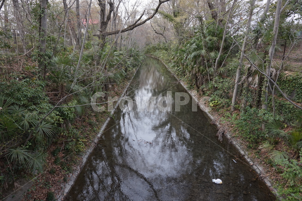 일본,하천,숲,4월,흐림,자연,풍경,nature,landscape,ditch,도랑