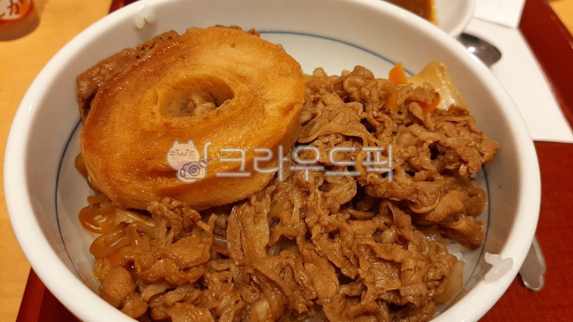 불고기덮밥,일본음식,덮밥,음식,그릇,한끼식사,식사,간편음식,간단한끼,점심식사,불고기