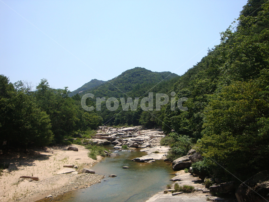 화양구곡,화양계곡,물,녹음,바위,산,자연,풍경,nature,landscape