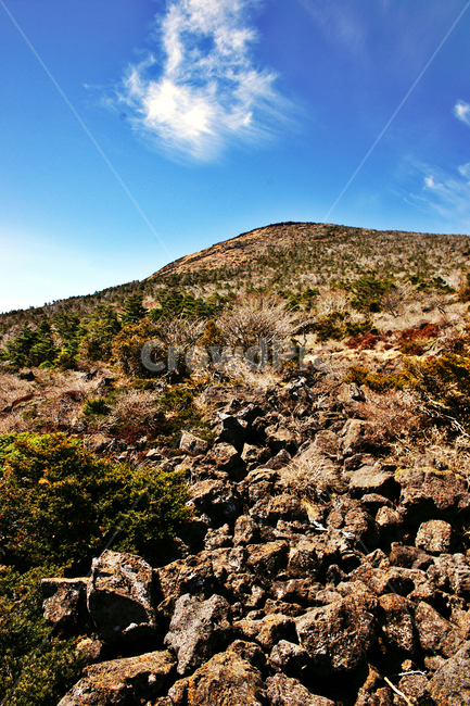 한라산,제주도,한라산국립공원,성판악코스,등산,푸른하늘,암석,현무암,화산석