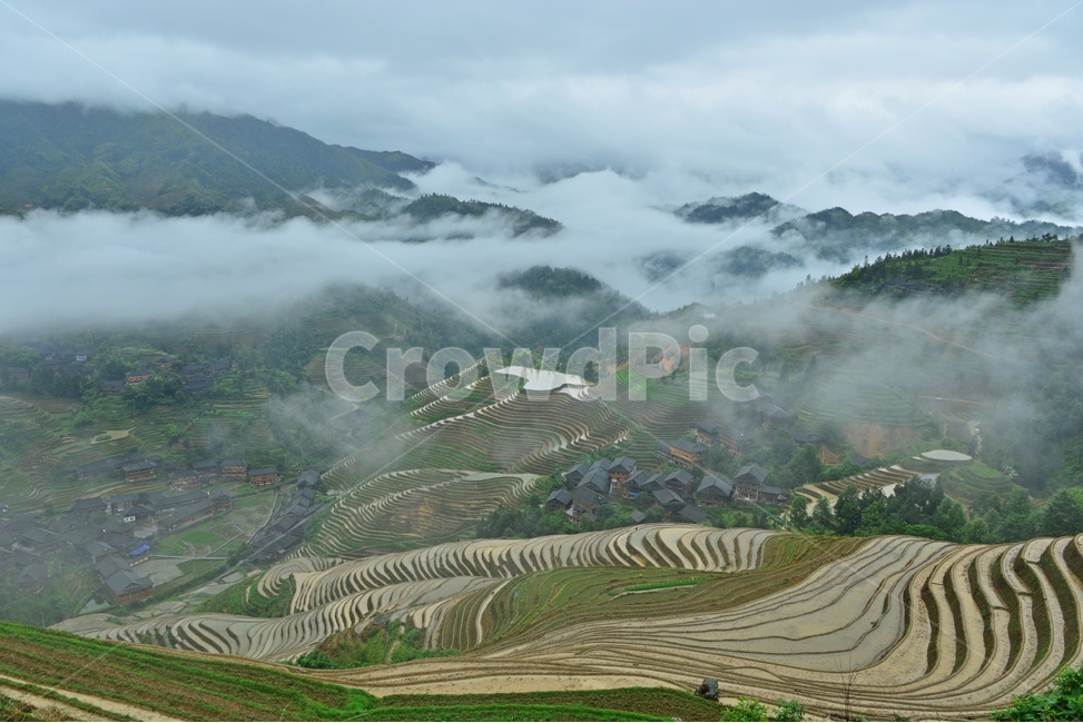중국,계림,금갱,다랭이논,nature,자연,outdoors,옥외,scenery,풍경,landscape,경치,운해,자연,풍경,nature,landscape,해외,외국,세계,foreign,oversea,world,세계자연풍경,해외자연풍경,외국자연풍경,world nature landscape