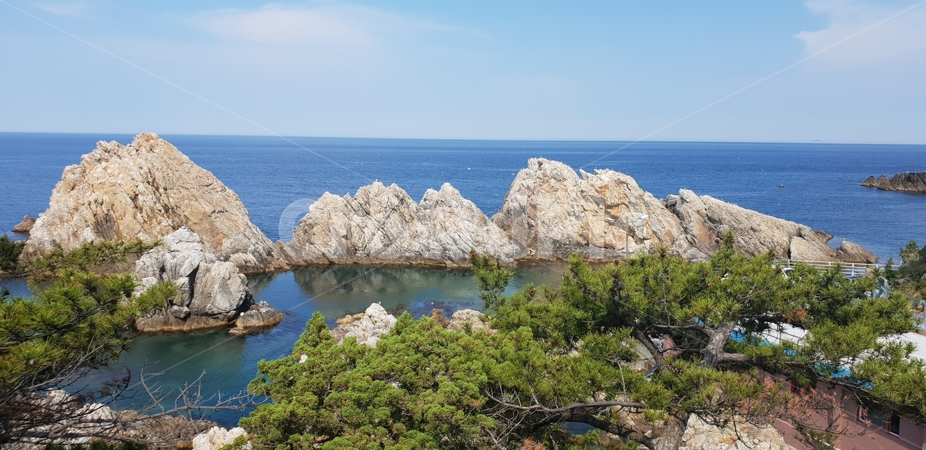바닷가,깨끗한물,해변,바다,정호항,삼척,바위