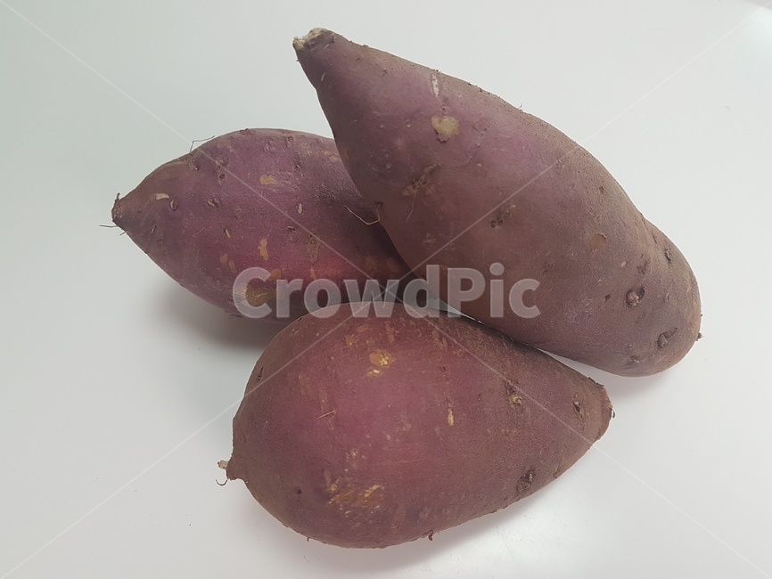 고구마,plant,식물,food,야채,vegetable,얌,yam,음식,sweetpotato