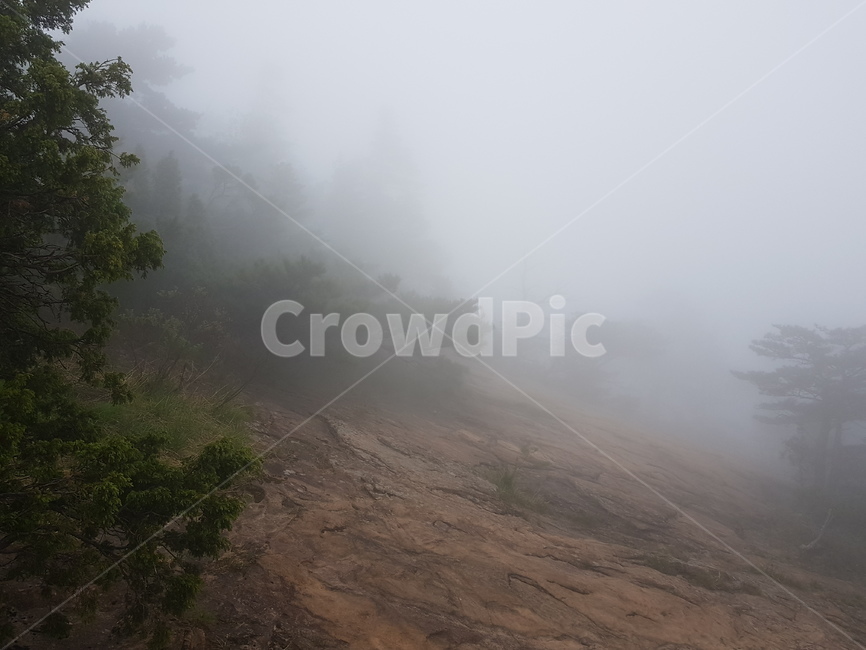 설악산,산,자연,풍경,나무,안개자욱,설악산정상,안개,설악산안개,숲,숲속안개,바위,돌