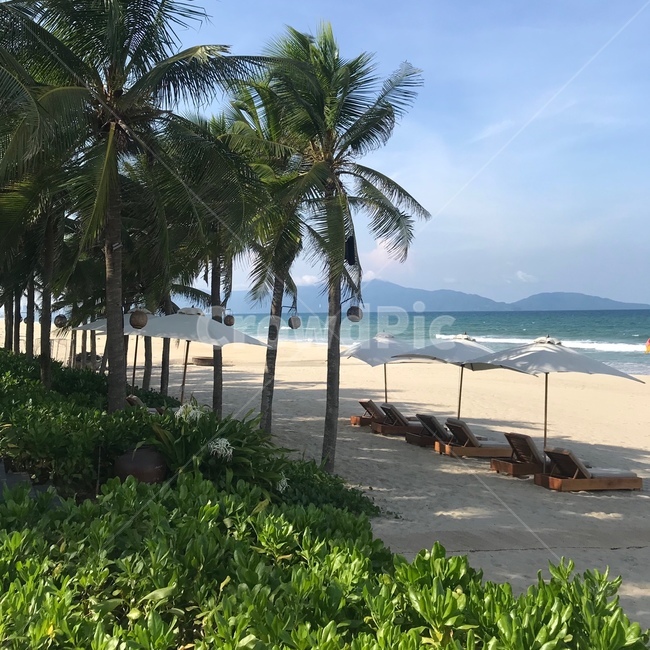 베트남,여름,해변,파라솔,휴가,해변,바다,beach,sea