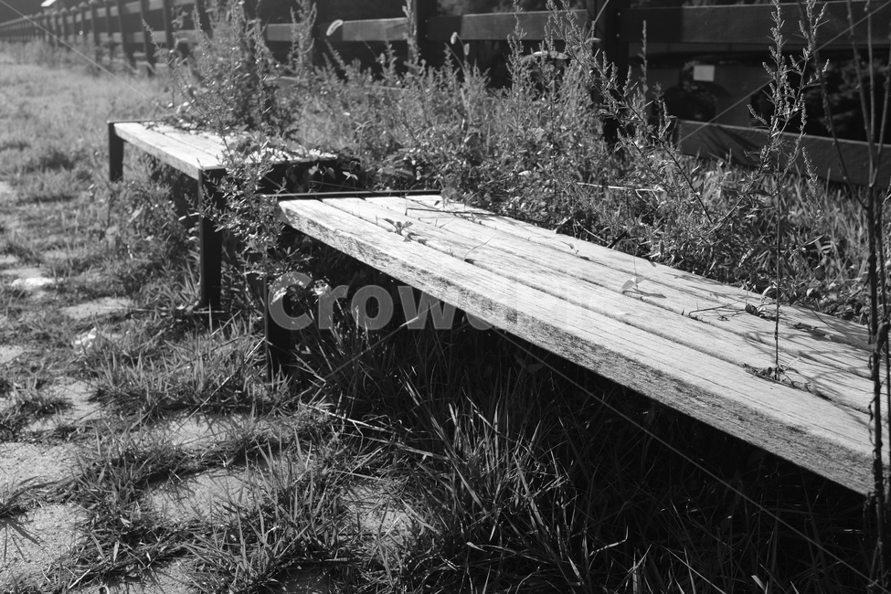 벤치,흑백사진,쓸쓸함,monochrome,bench,외로움,잡초,흑백,모노톤,monochrome,black and white