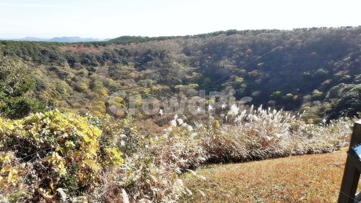 제주도산굼부리,산굼부리,배경화면,가을하늘,가을풍경